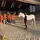elodie_chachou