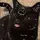 +~st4r.on.pawz~+