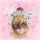 ℓꪱᲩ w. Cat noir