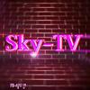 Sky TV-avatar
