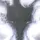 Cap81
