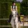 Louise_Jumping