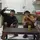 fadhil templat