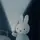 보랑이)자소