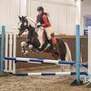 My.showjumping.mare-avatar