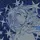 ˖ ࣪ ♱ 𝒦𝒶𝒾𝓀ℴ ♱ ˖ ࣪ 