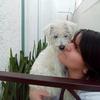 Brisa 🐶-avatar