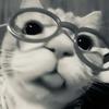 ^!Brooksie!^-avatar