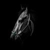 london.eq🐴-avatar