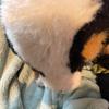 ~BaileyandCass_ESSA~-avatar