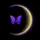 Ely_kaeri