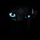 NightFurry0211