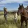 Western heart 🐎🛢️