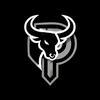 P BANTENG-avatar