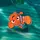 nemo
