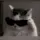 Nyxx_