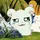 ꒰ঌ  ‧₊ 미우 ₊‧ ໒꒱ 