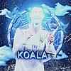 Koala-avatar
