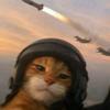 Tomcat-avatar