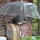 ⭐