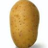 Potato ✔️-avatar