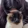 percy-