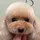 NaGaO Y