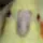 nocontexttr