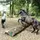 ~°Emma&les chevaux°~