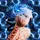 GIRAFFE-EDITz