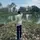 roshan____editz1