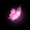 plutoo.rose-avatar