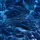 bluzz