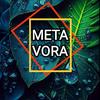 MeTaVoRa-avatar