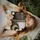 ʂυɳʂҽƚ°LDR°