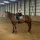 ✨AG_equestrian✨
