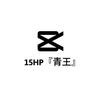 15HP 『青王』-avatar