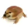 Nightly_PiposlkOFC💤-avatar