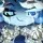 °•°*SHADOW MILK!*•°•
