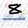 Nguyễn Bảo✨[LA]-avatar