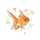jingga 🪸🪼𓍯𓂃