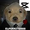 Elperrito888-avatar