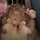 Łⅈghtᯓꪮᠻᯓhꪮડhⅈ