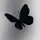 Anyyyyyy[AR]🦋💅