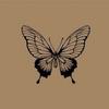 Butterfly [LDR]-avatar