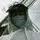 Itz_saroj7 