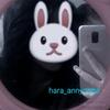 Hara_🐳 ⭐[TK] -avatar