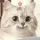 miwmiw