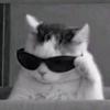 KucingManis_[BCR]-avatar