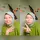 panggil ajaa araa